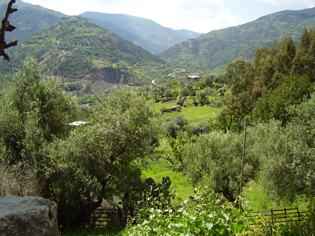 06/4-Monti dei Babors12